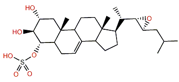 Acanthosterol sulfate C
